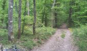 Trail Nordic walking Gredisans - Gredisans 7.8 km - Photo 7