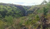 Tocht Stappen Saint-Paul - La Réunion - Boucle du moulin Kader, la cascade des Aigrettes et le Bassin Malheur - Photo 16