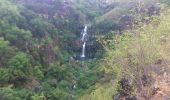 Trail Walking Saint-Paul - La Réunion - Boucle du moulin Kader, la cascade des Aigrettes et le Bassin Malheur - Photo 12
