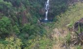 Trail Walking Saint-Paul - La Réunion - Boucle du moulin Kader, la cascade des Aigrettes et le Bassin Malheur - Photo 11