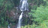 Randonnée Marche Saint-Paul - La Réunion - Boucle du moulin Kader, la cascade des Aigrettes et le Bassin Malheur - Photo 9