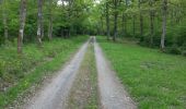 Tocht Stappen Rochefort - Promenade de la chasse royale - Photo 2