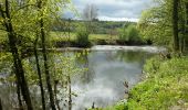 Randonnée Marche Rochefort - Promenade de la chasse royale - Photo 1