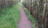 Trail Walking Plérin - GR 34 étape 17 - Photo 4