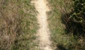 Trail Walking Gauriac - Corniche de Gironde - Photo 6