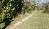 Trail Walking Gauriac - Corniche de Gironde - Photo 5