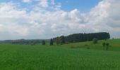 Trail Walking Libramont-Chevigny - wifeumont adeps 2014 - Photo 3