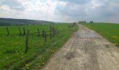 Tour Wandern Libramont-Chevigny - wifeumont adeps 2014 - Photo 2