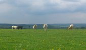 Tour Wandern Libramont-Chevigny - wifeumont adeps 2014 - Photo 1