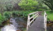 Trail Walking Plonéour-Lanvern - tour de l'étang du moulin neuf - Photo 13