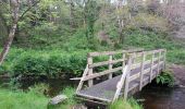 Randonnée Marche Plonéour-Lanvern - tour de l'étang du moulin neuf - Photo 12