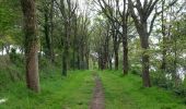 Trail Walking Plonéour-Lanvern - tour de l'étang du moulin neuf - Photo 7