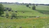 Trail Walking Fléron - balade de Sainte Julienne - Photo 13