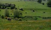 Tour Wandern Fléron - balade de Sainte Julienne - Photo 12