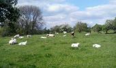 Tour Wandern Fléron - balade de Sainte Julienne - Photo 7