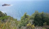 Trail Walking Hyères - Port Cros sentier des cretes - Photo 20