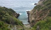 Tocht Stappen Hyères - Port Cros sentier des cretes - Photo 9