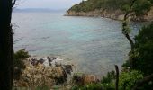 Trail Walking Hyères - Port Cros sentier des cretes - Photo 2