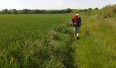 Trail Walking Melle - JFT YB Etape8 5-5-2014  - Photo 3