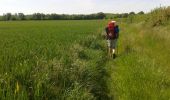 Tocht Stappen Melle - JFT YB Etape8 5-5-2014  - Photo 3