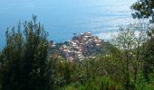 Excursión Senderismo Monterosso al Mare - monterosso-corniglia9-1-7a - Photo 4