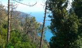 Tour Wandern Monterosso al Mare - monterosso-corniglia9-1-7a - Photo 3