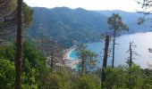 Trail Walking Monterosso al Mare - monterosso - levanto - Photo 2