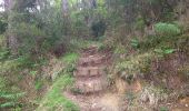 Tocht Stappen Monterosso al Mare - monterosso - levanto - Photo 1