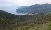 Trail Walking Monterosso al Mare - monterosso - levanto - Photo 3