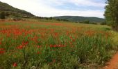 Tour Mountainbike Liausson - tour du salagou - Photo 20