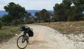 Tour Fahrrad Cabrières-d'Avignon - Cabrières Sault - Photo 16