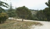 Tour Fahrrad Cabrières-d'Avignon - Cabrières Sault - Photo 15