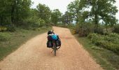 Percorso Bicicletta Cabrières-d'Avignon - Cabrières Sault - Photo 13