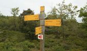 Tocht Fiets Cabrières-d'Avignon - Cabrières Sault - Photo 12