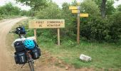 Tocht Fiets Cabrières-d'Avignon - Cabrières Sault - Photo 10