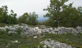 Tocht Fiets Cabrières-d'Avignon - Cabrières Sault - Photo 4