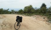 Trail Cycle Cabrières-d'Avignon - Cabrières Sault - Photo 20