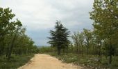 Randonnée Vélo Cabrières-d'Avignon - Cabrières Sault - Photo 19