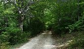 Trail Walking Aiguines - Belvédère, gorges, Inbut, sentier Vidal - Photo 1