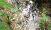 Tocht Stappen Cuq-Toulza - tour du lac du Causse - Photo 2