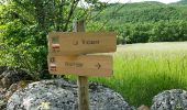 Trail Walking Larroque - Mespel - Photo 2