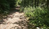 Trail Walking Waterloo - Autour de la Clinique Derscheid - Photo 1