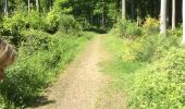 Trail Walking Waterloo - Autour de la Clinique Derscheid - Photo 4