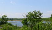 Tocht Stappen Chimay - Balade autour des étangs de Virelles - Photo 9