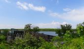Trail Walking Chimay - Balade autour des étangs de Virelles - Photo 6