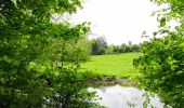 Tocht Stappen Chimay - Balade autour des étangs de Virelles - Photo 5