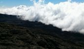 Tour Wandern Saint-Philippe - La Réunion - Le Piton de la Fournaise depuis le Pas de Bellecombe - Photo 10