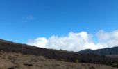 Tour Wandern Saint-Philippe - La Réunion - Le Piton de la Fournaise depuis le Pas de Bellecombe - Photo 4