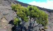 Tour Wandern Saint-Philippe - La Réunion - Le Piton de la Fournaise depuis le Pas de Bellecombe - Photo 3