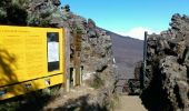 Tour Wandern Saint-Philippe - La Réunion - Le Piton de la Fournaise depuis le Pas de Bellecombe - Photo 16